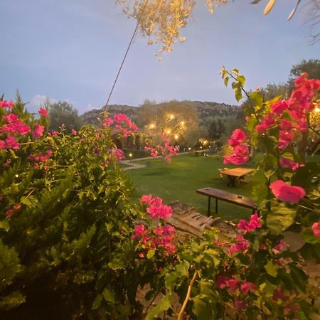 Suzi'Nin Bahcesi Bungalov Evler Datca Εξωτερικό φωτογραφία
